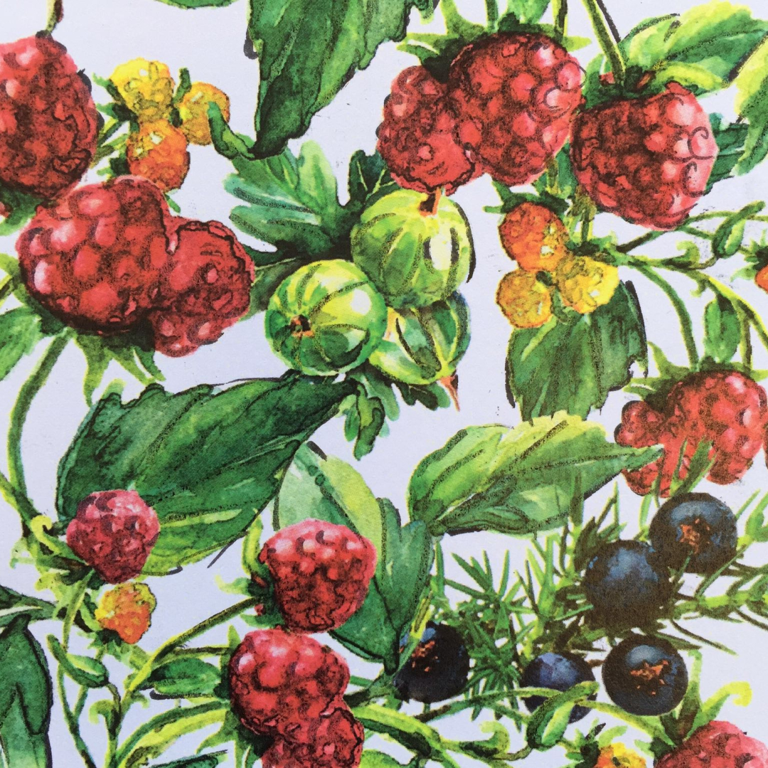 Rubus Gin - Etikett innnen